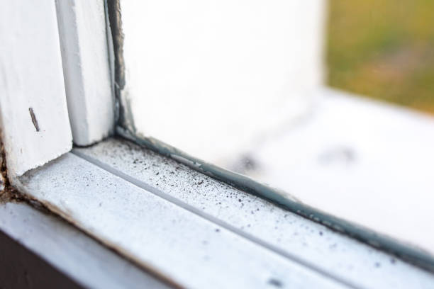 Mold Documentation for Insurance Claims in Fullerton, PA