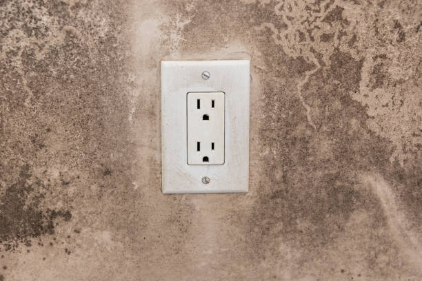 Best Mold Documentation for Insurance Claims  in Fullerton, PA